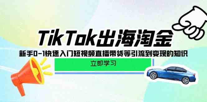 TikTok出海淘金，新手0-1快速入门短视频直播带货等引流到变现的知识-软件百科