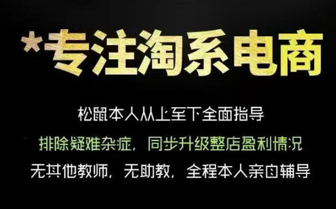 松鼠会电商VIP课程，从基础布局到高阶优化，助你掌握淘宝运营逻辑，提升店铺流量与转化-软件百科