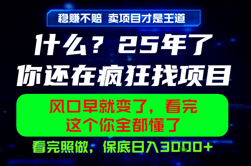 26年，请不要疯狂的找项目做了！卖项目才是真的稳賺不赔，看完照做，保底日入1k+【揭秘】-软件百科