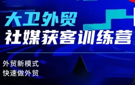 大卫老师·外贸社媒获客独家训练营(更新6月)-软件百科