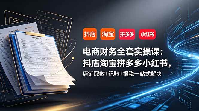（19001期）电商财务全套实操课：抖店淘宝拼多多小红书，店铺取数+记账+报税一站式解决-软件百科